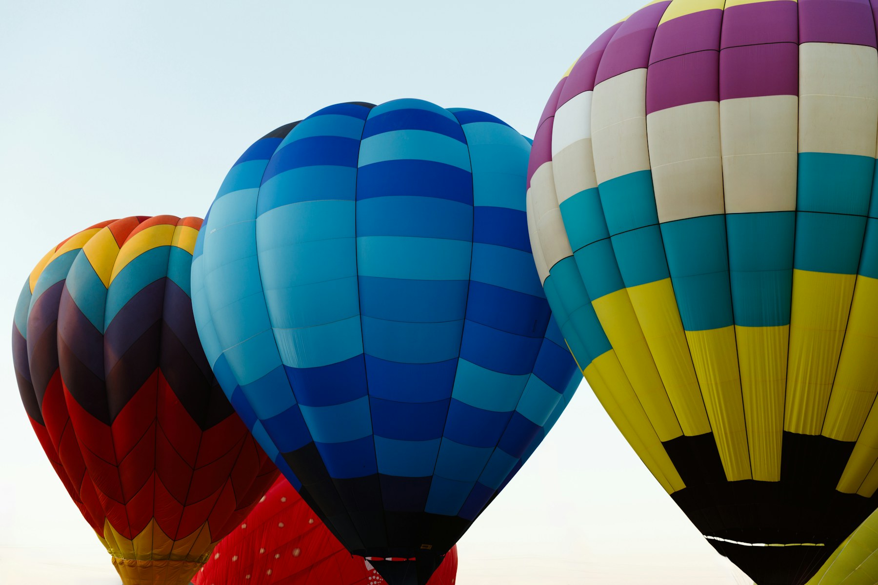 Colorful hot air balloons floating together in the sky